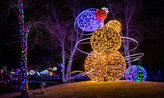 Affordable holiday lights limo rental in Centennial, CO